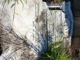 image of grave number 455246